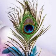 ইন্দ্র নীল